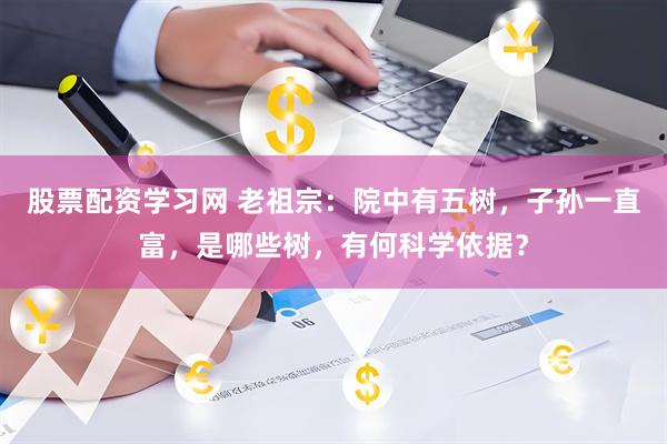 股票配资学习网 老祖宗：院中有五树，子孙一直富，是哪些树，有何科学依据？
