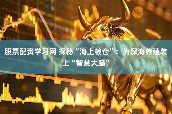 股票配资学习网 探秘“海上粮仓”：为深海养殖装上“智慧大脑”