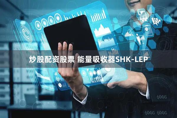 炒股配资股票 能量吸收器SHK-LEP