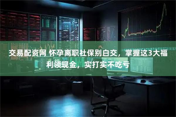 交易配资网 怀孕离职社保别白交，掌握这3大福利领现金，实打实不吃亏