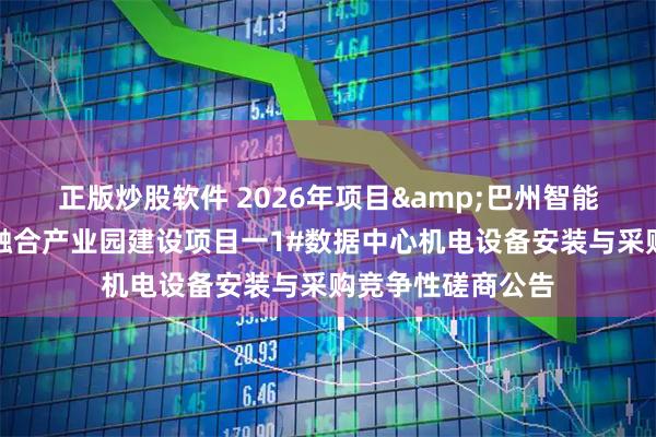 正版炒股软件 2026年项目&巴州智能医药与绿色算力融合产业园建设项目一1#数据中心机电设备安装与采购竞争性磋商公告