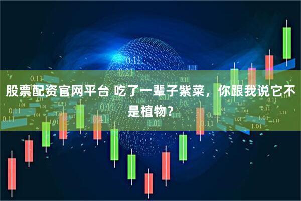 股票配资官网平台 吃了一辈子紫菜，你跟我说它不是植物？